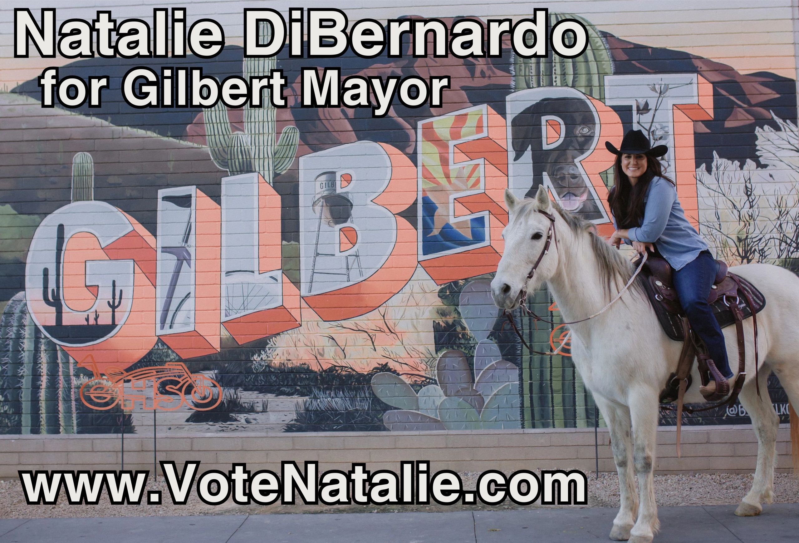 Gilbert Candidate for Mayor Natalie DiBernardo